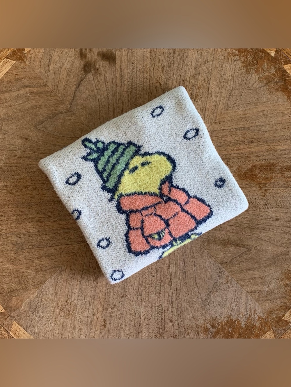AE Woodstock Graphic OversizedSweater